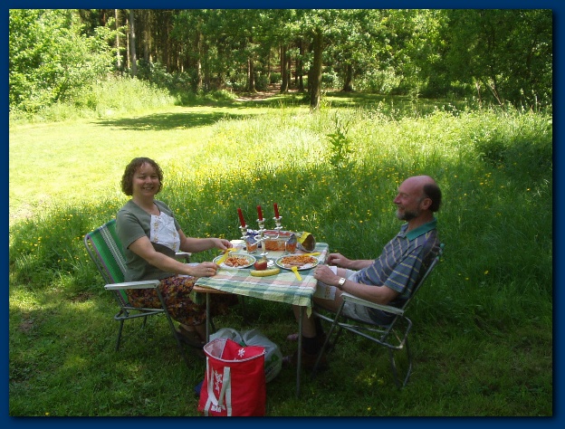 600x449 pixels (175K)